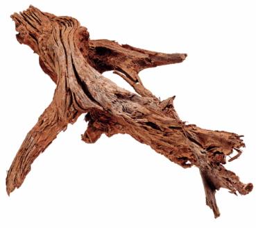 Hobby Mangrovenholz M 25-35cm