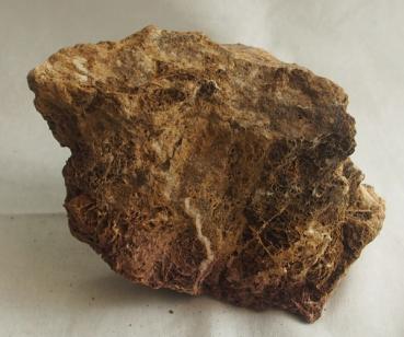 Versteinertes Laub pro 1Kg