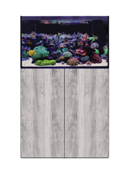 D-D Aqua-Pro Reef 900 DRIFTWOOD CONCRETE