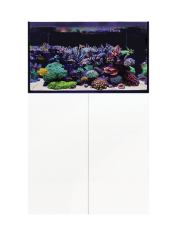 D-D Aqua-Pro Reef 900 WHITE GLOSS