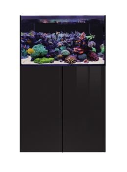 D-D Aqua-Pro Reef 900 BLACK GLOSS
