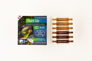 Prodibio Start Up - 6 Ampullen - MW + SW
