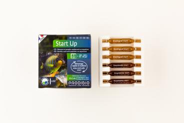 Prodibio Start Up - 12 Ampullen - MW + SW