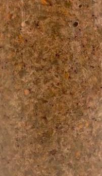 Preview: PlanktonPlus Nature Artemia 250ml