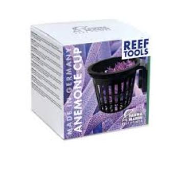 Fauna Marin Anemone Cup