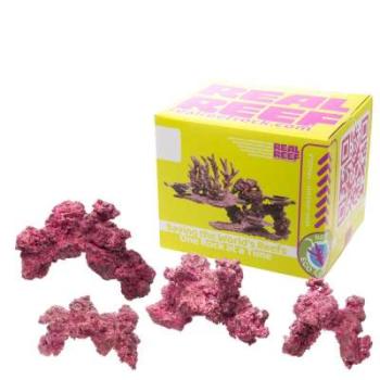 Real Reef Rock Arches Medium (4 Stk.)