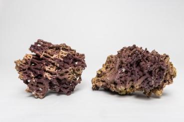 Preview: Jurassic Reef Rock 12Kg