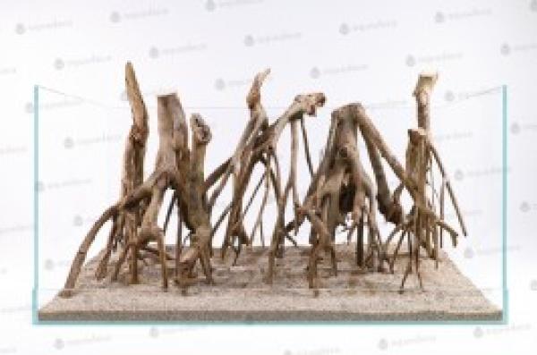 Talawa-​Holz 50-70cm pro 1Kg