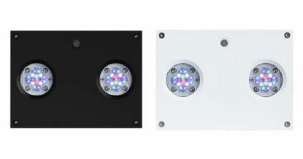 AI Hydra 32 HD schwarz