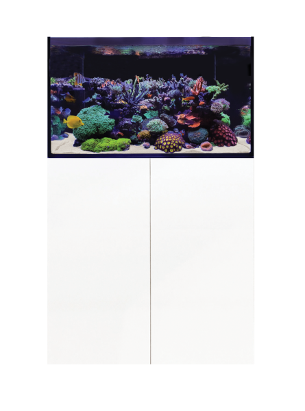 D-D Aqua-Pro Reef 900 WHITE GLOSS