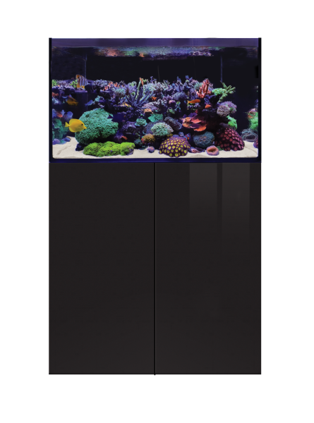 D-D Aqua-Pro Reef 900 BLACK GLOSS
