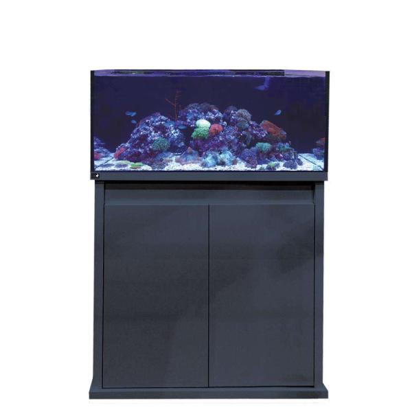 D-D Reef-Pro 900 ANTHRACITE GLOSS