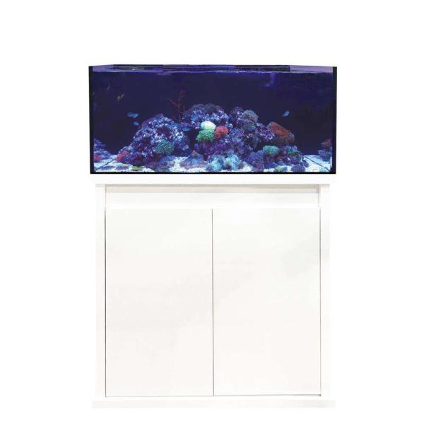 D-D Reef-Pro 900 WHITE GLOSS
