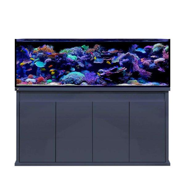 D-D Reef-Pro 1800 ANTHRACITE GLOSS