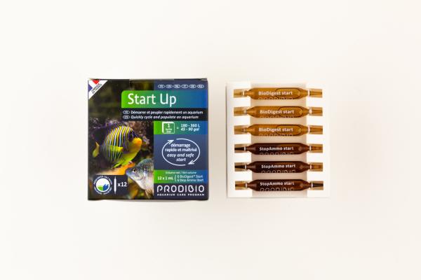 Prodibio Start Up - 12 Ampullen - MW + SW