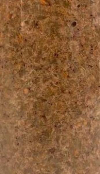 PlanktonPlus Nature Artemia 100ml