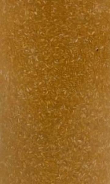 PlanktonPlus Nature Cyclops 250ml