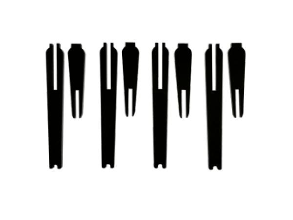 Fauna Marin Coral Frag Board Feet M 10cm