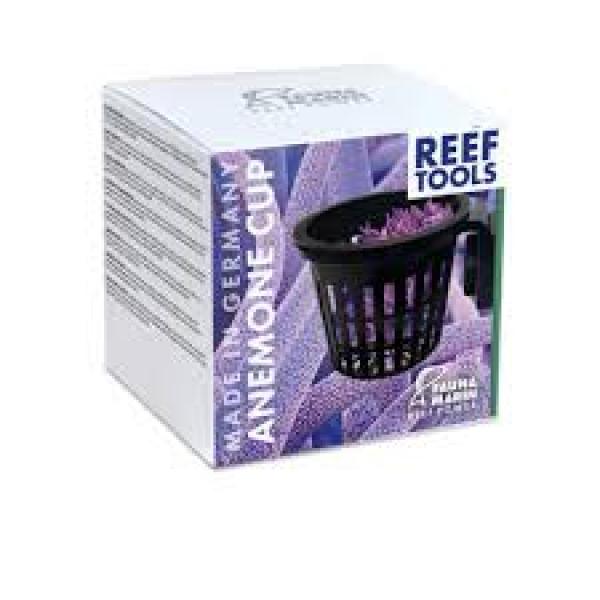 Fauna Marin Anemone Cup